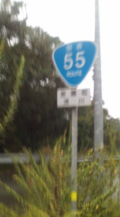 国道55線