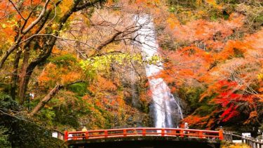 秋深まる箕面の大自然：箕面の滝 混雑状況