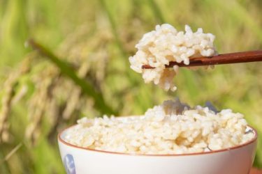 食べ過ぎと戦う：血圧と尿酸値に効く玄米
